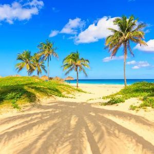 Meet your Posher, Joan