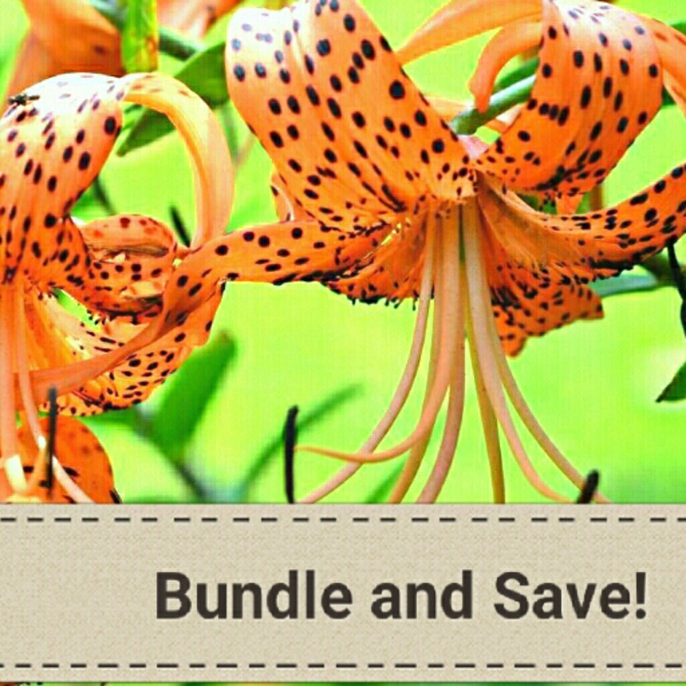 Save 30% on bundles of 3+!!