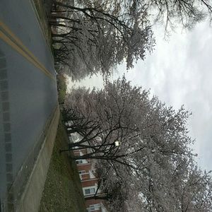 Meet your Posher, Jenne