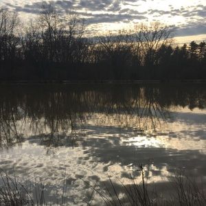 Meet your Posher, Whitney