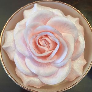 Meet your Posher, Dr candace