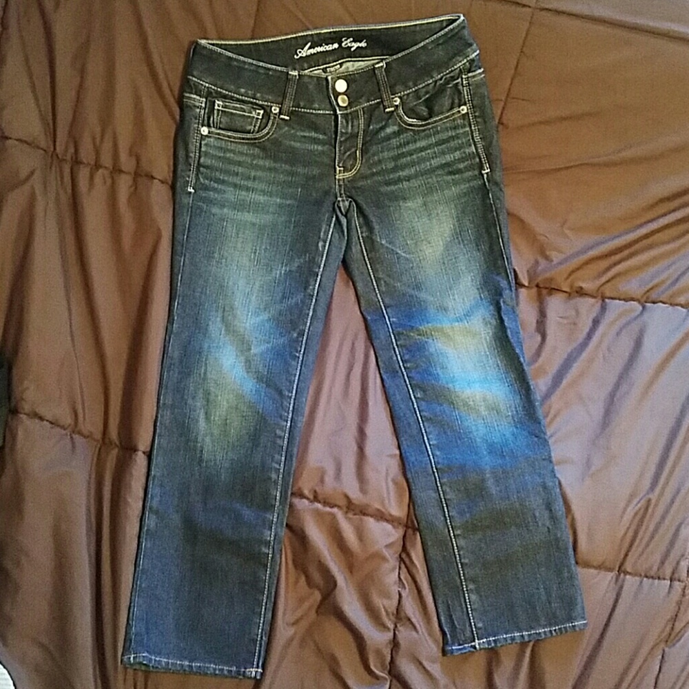 American Eagle Artist Crop Jeans