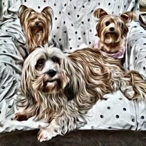 Meet your Posher, Mary ann