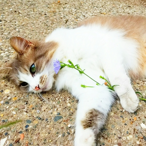 Meet your Posher, Christopher - Picture 3 of 3