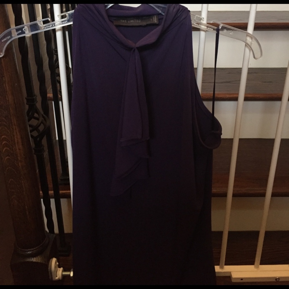 The Limited purple top