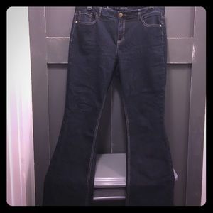 Lane Bryant dark wash boot cut jeans