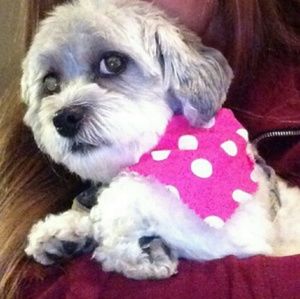 Meet your Posher, Gemma