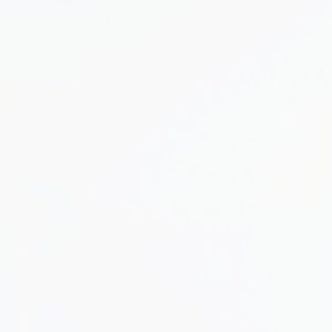 Meet your Posher, Shalese