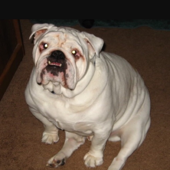 Meet your Posher, Sean - Picture 1 of 1