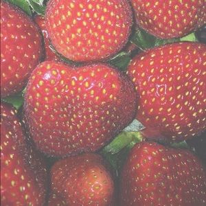 Meet your Posher, Cat