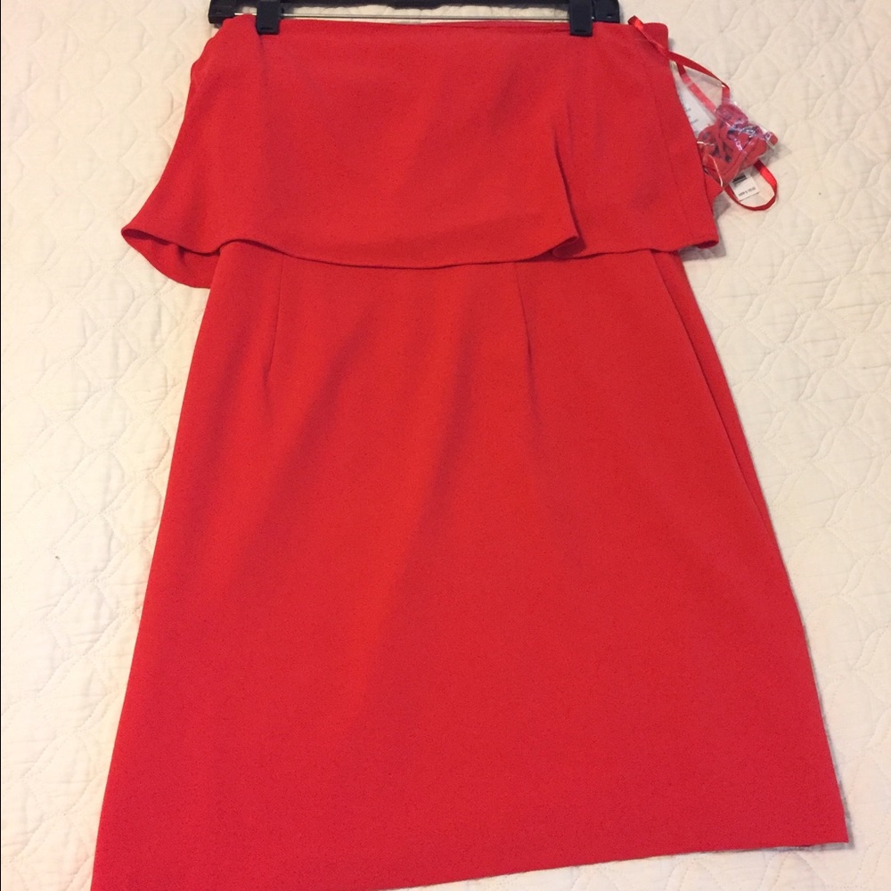NWT Tube Top Dress