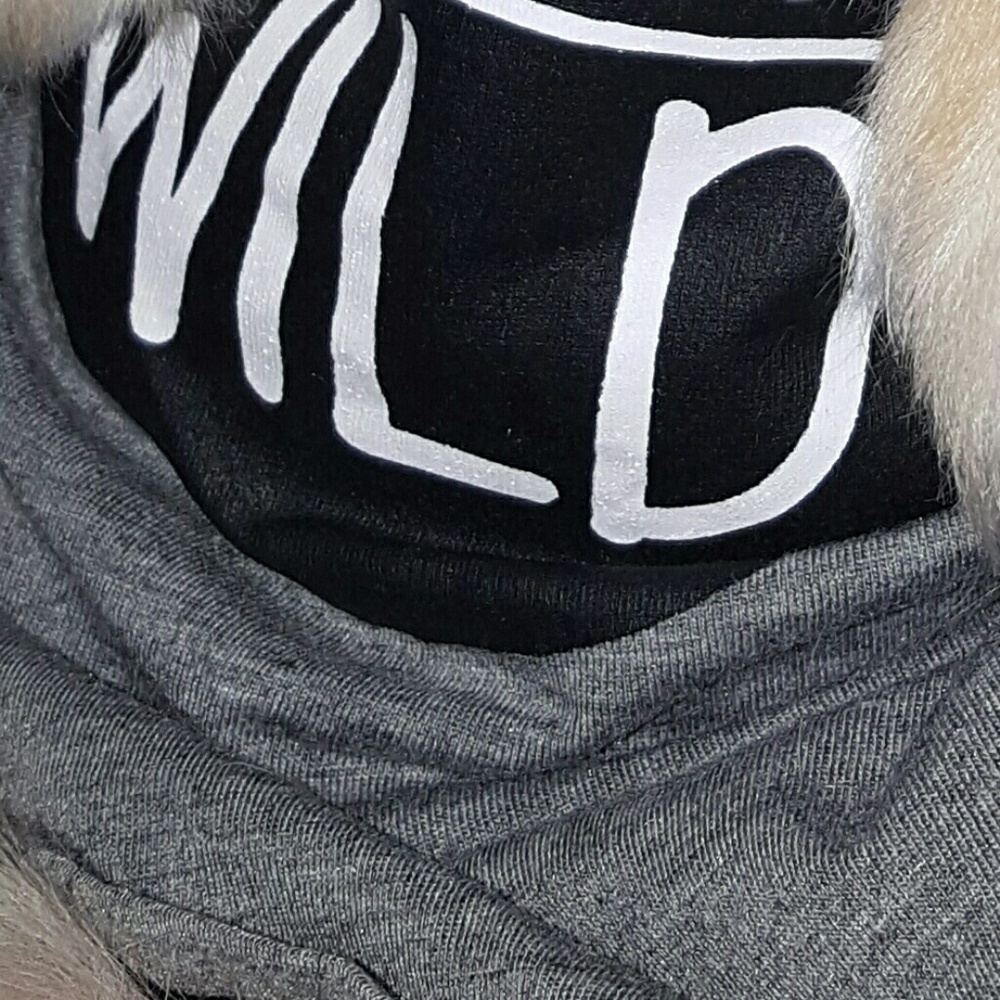 Meet your Posher, Debbi