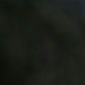 Meet your Posher, Samiah