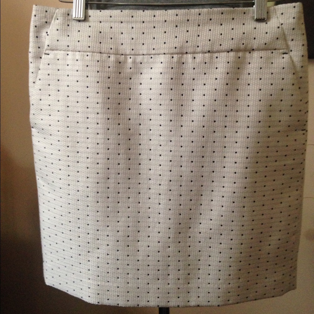Ann Taylor Skirt