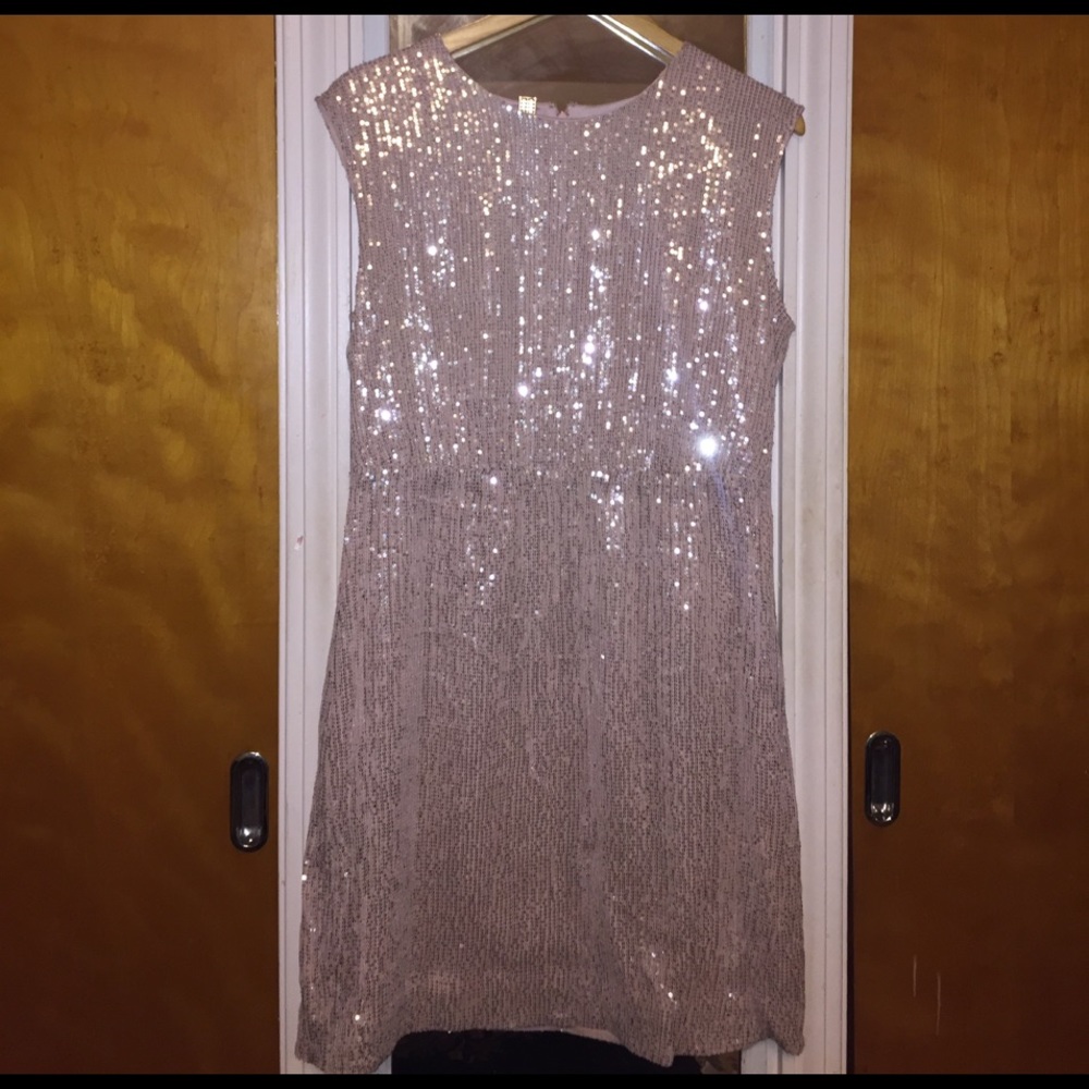 Jcrew blush sequin knee length dress