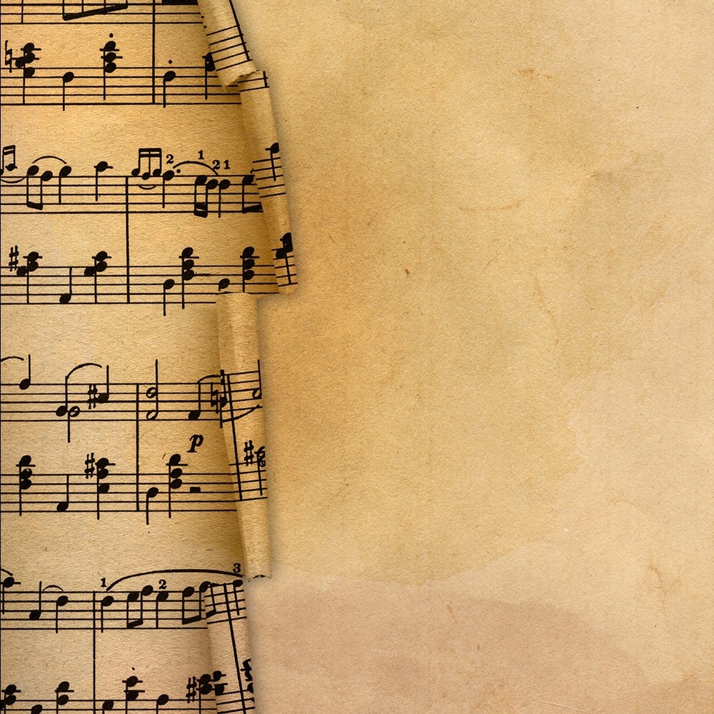 Meet your Posher, Chrissy