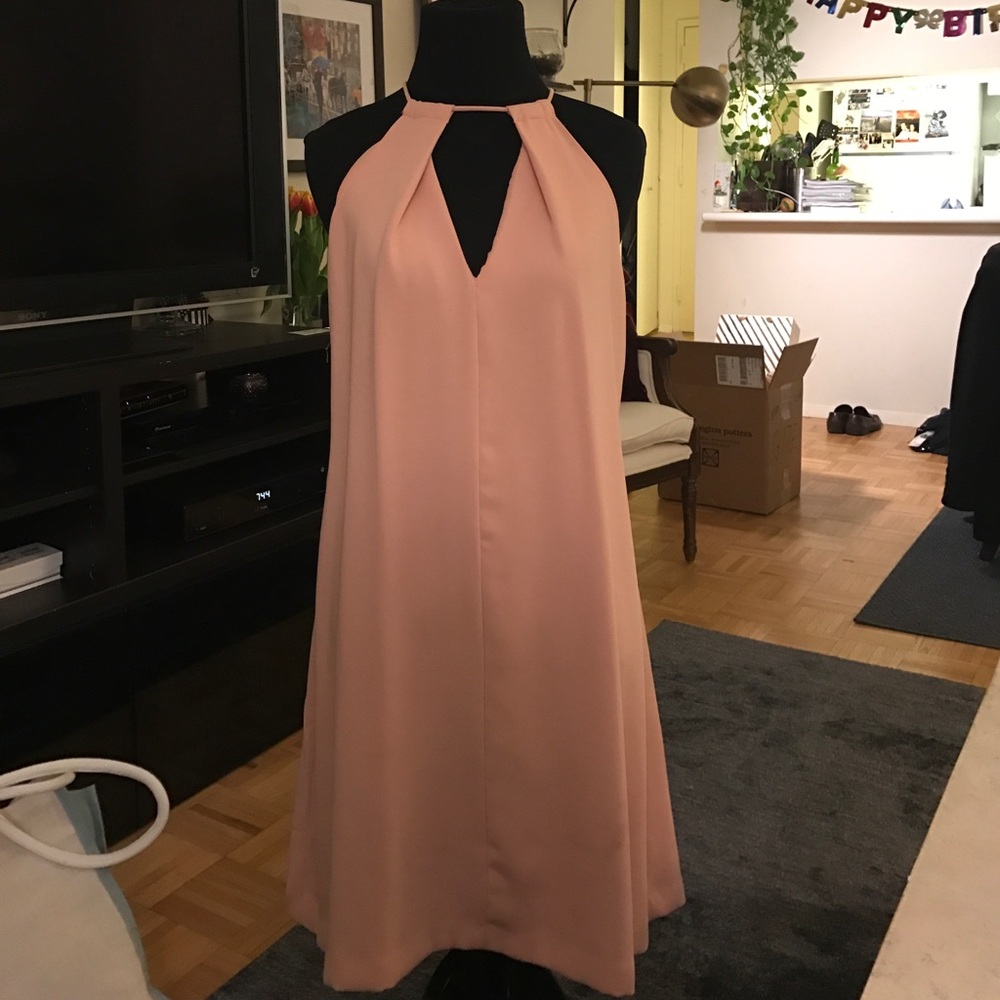 Pink Zara Dress
