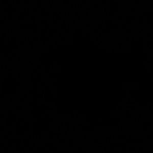 Meet your Posher, Tracey