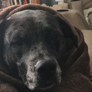 Meet your Posher, Nathan