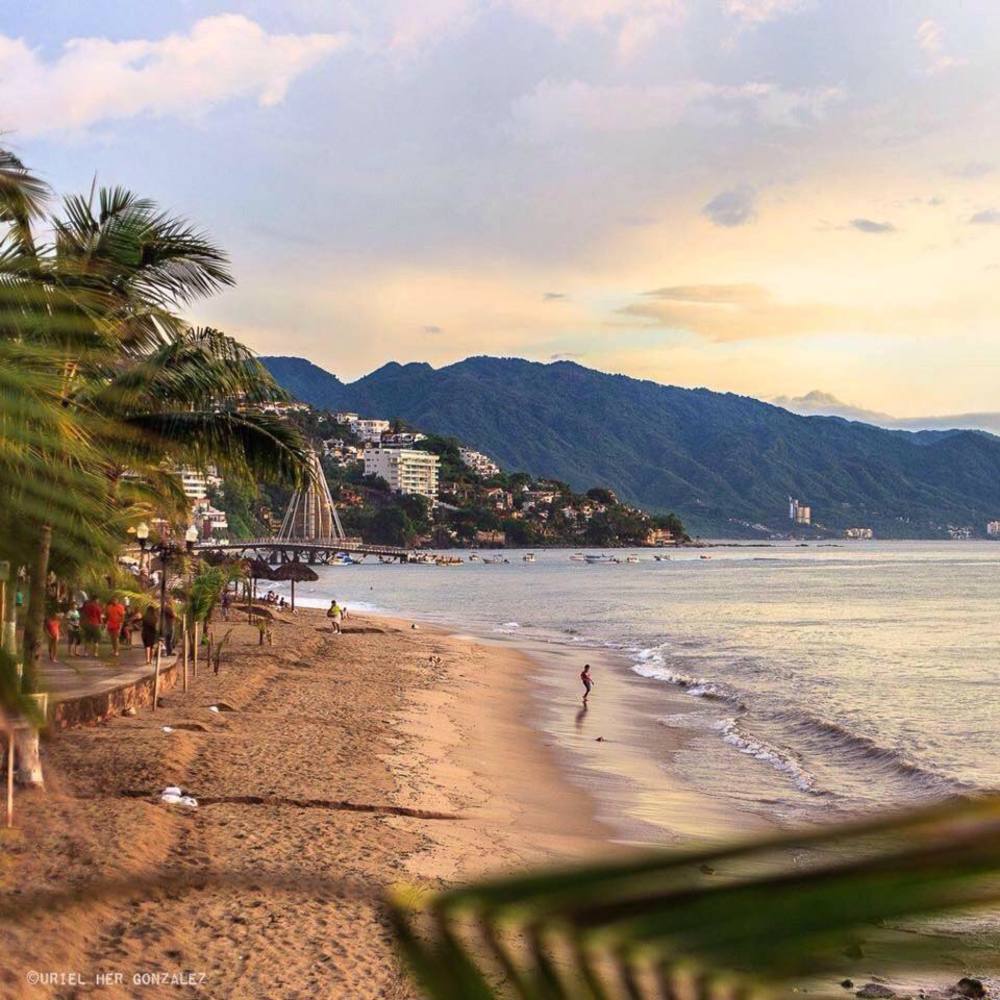 Meet your Posher, Ana