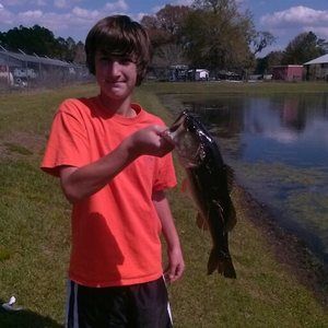 Meet your Posher, Austin