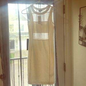 White mesh bebe dress size small
