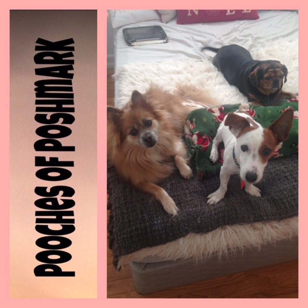 Show your pooches (& other furriends, too!)
