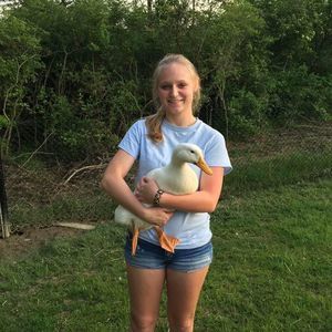 Meet your Posher, Delaney