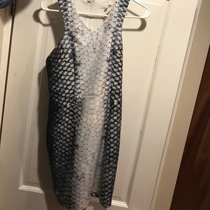 Faith in Love Snakeskin Dress