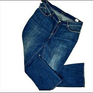 New ROCK & REPUBLIC 24W Dark Wash Jeans Boot Cut