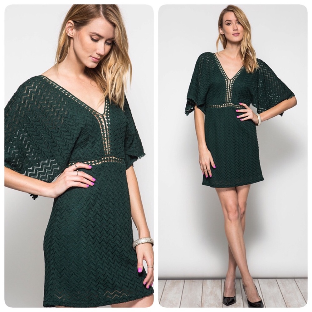 Green Lace Dress with Contrast Trim - Picture 2 of 3