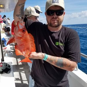 Meet your Posher, John