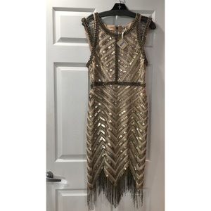 Haute Hippie Beaded Fringe Trim Dress