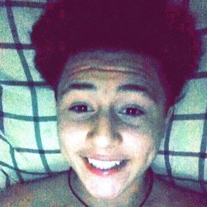 Meet your Posher, Hector