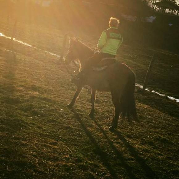 Meet your Posher, Montgomery - Picture 1 of 1