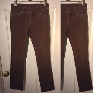 Brown Corduroy Pants