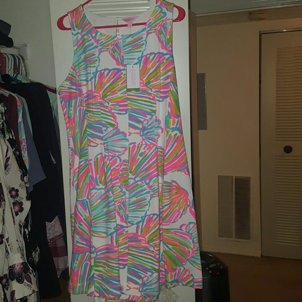 Lilly pulitzer Felicity dress  Size XL