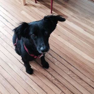 Meet your Posher, Michela