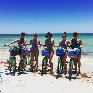 Meet your Posher, Sandy