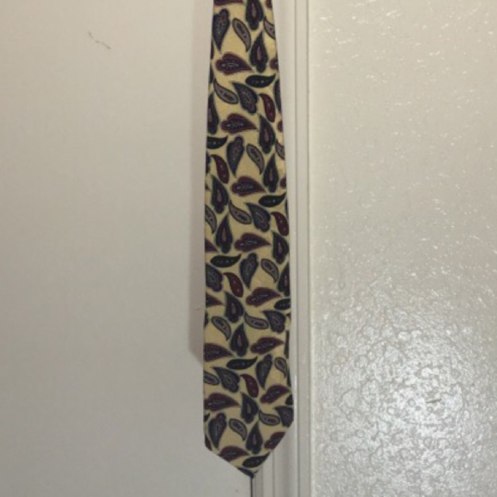 Lands end paisley tie