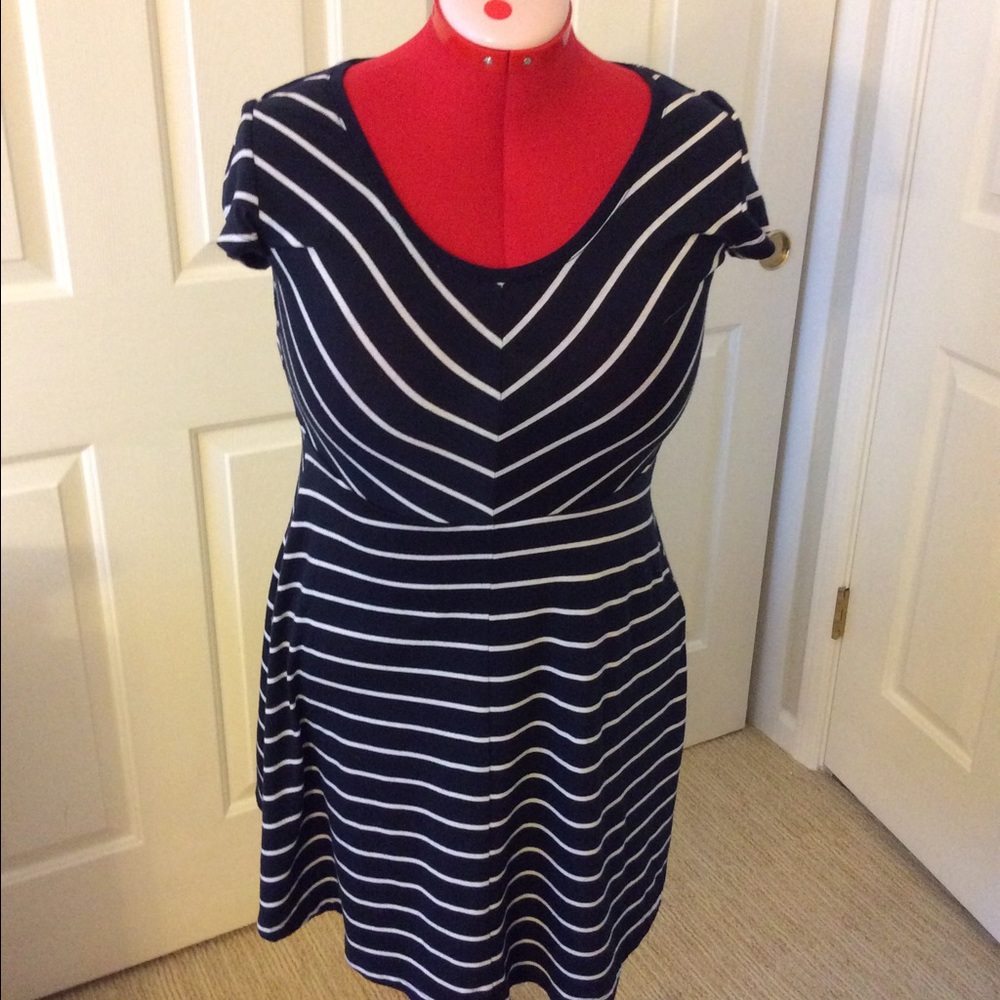 Trendy fit and flare knit dress