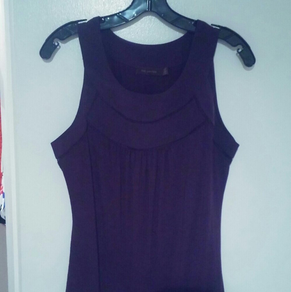 Eggplant purple top from Limited sz L NWOT