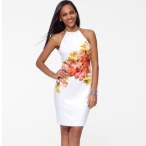 Cache Silk Halter Dress