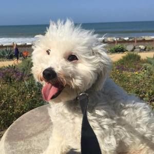 Meet your Posher, Jeanie