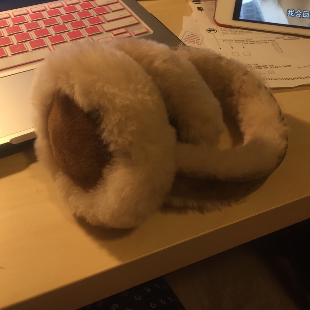 ear cover
