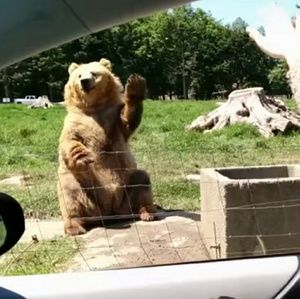 Meet your Posher, Dav