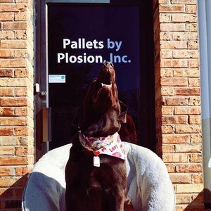 Meet your Posher, Shawn