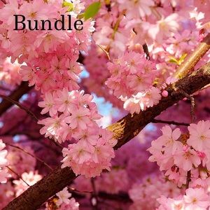 Bundle