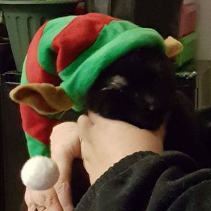 Meet your Posher, Kim