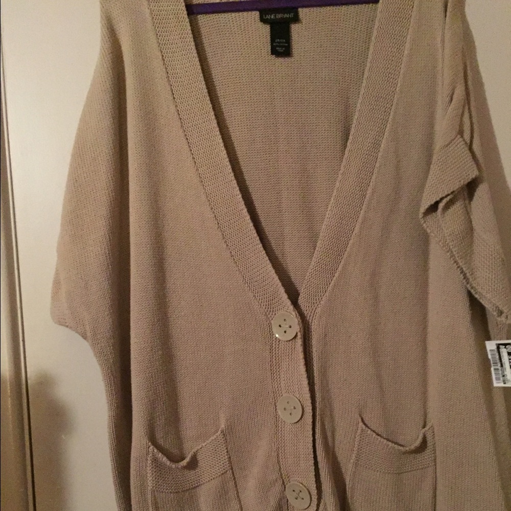 Lane Bryant Sweater